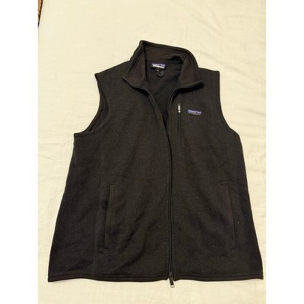 Men's Patagonia vest